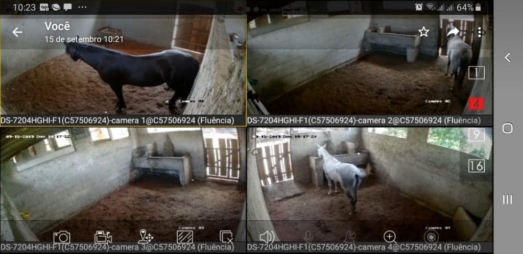 Video monitoramento das baias do Haras Divinha