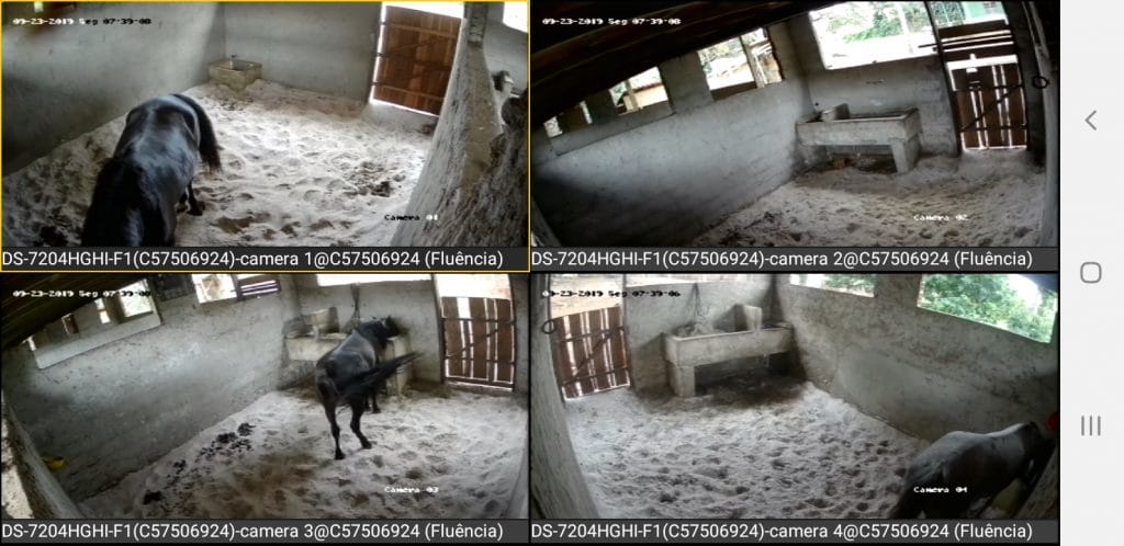 Video monitoramento de uma das baias do Haras Divinha