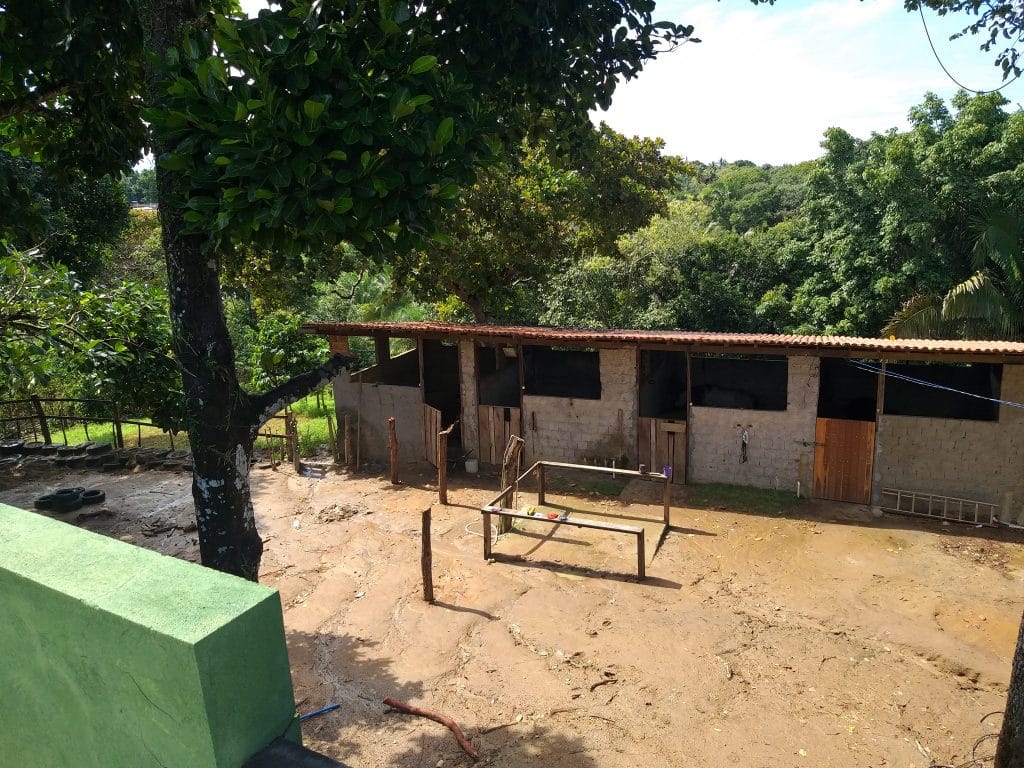 Área de treinamento do Haras Divinha